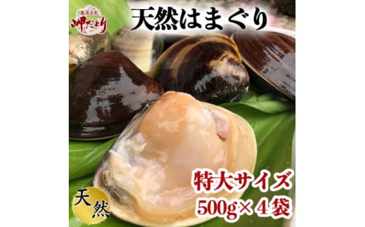 【先行予約】 希少 天然 はまぐり 特大サイズ 500g×4袋 岬だより 冷凍 はまぐり 天然貝 魚貝 海鮮 魚介 新鮮 はまぐり 蛤 ハマグリ 蛤鍋 はまぐり はまぐり鍋 ふるさと納税貝 ふるさと納税はまぐり ふるさと納税ハマグリ ふるさと納税蛤 人気 おすすめ 愛知県 南知多町