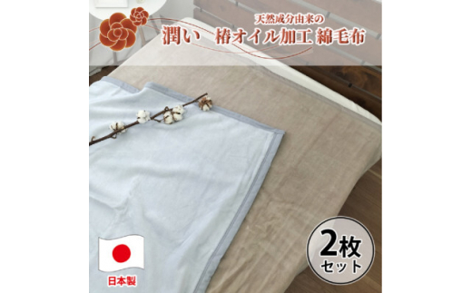 【2枚組】椿オイル加工 ふんわり綿毛布 シングルサイズ(140×200cm)CNM-101-2P【1526137】