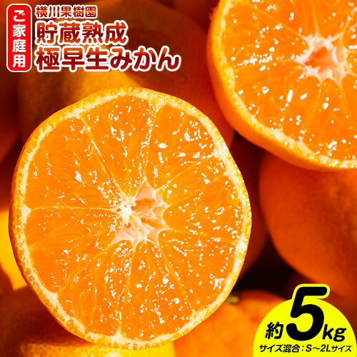 【ふるさと納税】貯蔵熟成 極早生 みかん (日南1号) 約 5kg 2S〜L 家庭用 サイズ混合 横川果樹園 《9月下旬-10月下旬頃より出荷》 和歌山県 日高川町 みかん 完熟 柑橘 フルーツ 極早生 送料無料