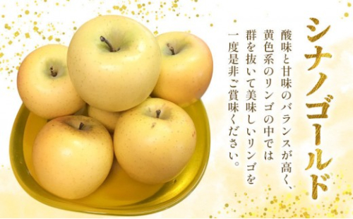 長野市産 シナノゴールド 3kg(7玉～12玉入り) りんご 信濃の味【2026年10月下旬頃より発送予定】 | りんご  シナノゴールド 約3kg 人気 おすすめ フルーツ 果物 リンゴ 林檎 長野県 長野市 信州 信濃 ふるさと納税
