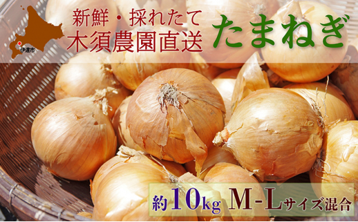 
[№5525-0515]伊達【木須農園】の玉ねぎ＜北はやて＞約10kg
