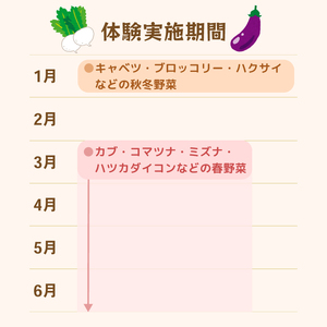 年間を通した野菜作り「土の学校」（1組5名まで） 〈 学び 食育 収穫 農業 野菜 子供 親子 農作物 ふるさと納税 柏 〉