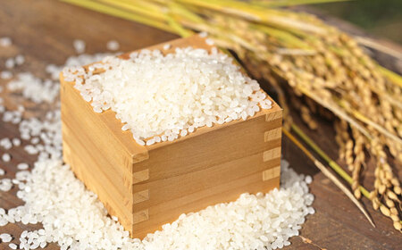 さがびより 白米 4kg (2kg×2袋) / 佐賀県 / 株式会社SUMRICE[41AAAV001]