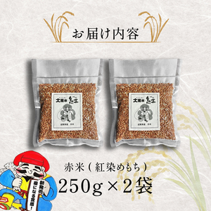 古代米 2袋 500g 雑穀米 赤米 玄米 DG004