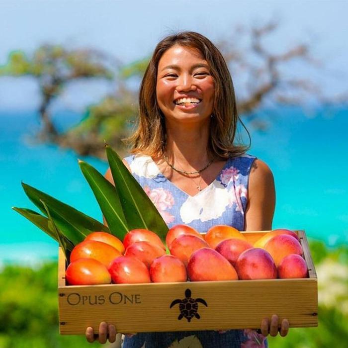 【ふるさと納税】《先行予約》2026年発送【ブルータートルファーム】宮古島完熟マンゴー 【贈答】（1kg）(DC007)