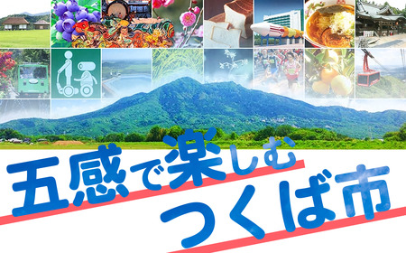 コーヒー豆の原木を使用して作製したボールペン1本【共通返礼品】
