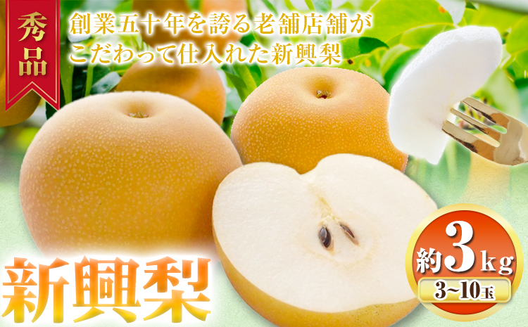 【2026年先行予約】秀品 新興梨 約3kg (3〜10玉) 高間商店《2026年10月上旬-12月上旬頃出荷》鳥取県 八頭町 梨 なし ナシ 果物 フルーツ 秀品 高間商店 新興梨 ふるさと納税 甘い 果汁 果実 くだものst-p