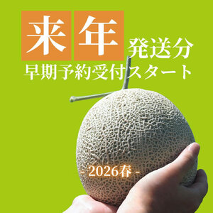2026年先行予約【イバラキングメロン】＼生産量日本一！／茨城県鉾田市産 イバラキング メロン めろん 3玉～5玉｜方波見農園 《安心安全栽培》上品な甘さ 絶品 産地直送 青肉 高級 おすすめ 人気 