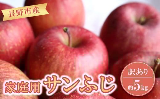 
            長野市産 サンふじ りんご 家庭用 訳あり 5kg 【2025年11月下旬頃より発送予定】J1050
          