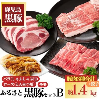 ふるさと納税 肝付町 ふるさと黒豚セットB!黒豚餃子(12個入×3P)付き　B02079