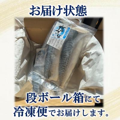 ふるさと納税 南知多町 塩さばフィレ 8枚(2枚×4袋)(冷凍) 小分けで便利!お弁当やおかずにも使えます! |  | 03