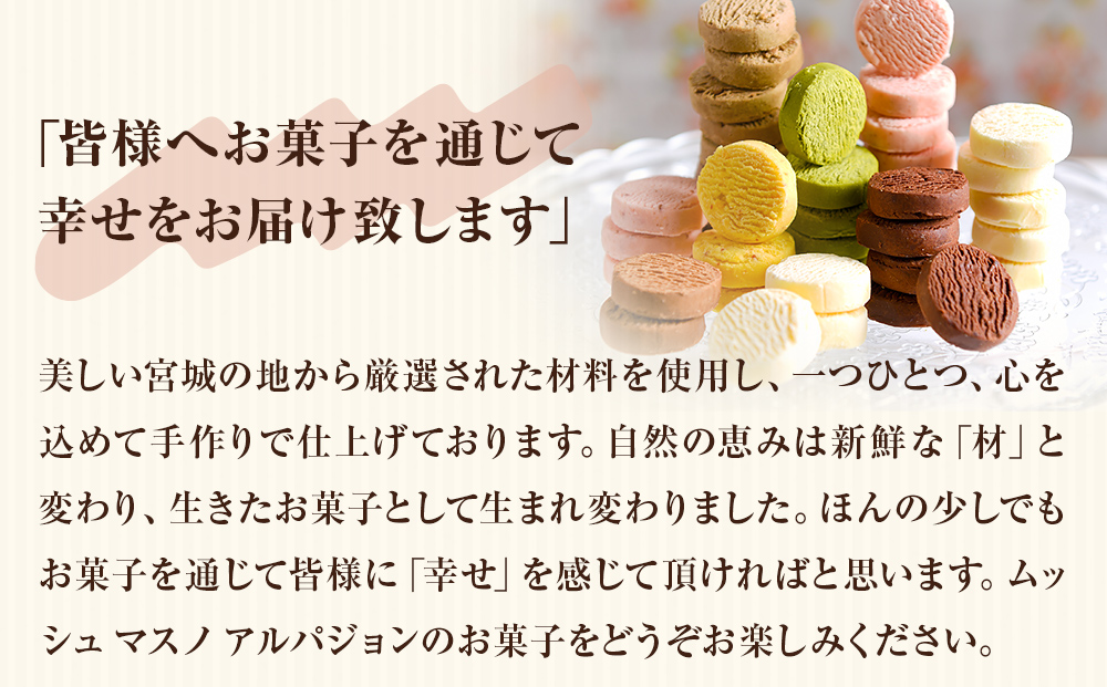 アルパジョン 新食感 ！ とろける クッキー 12袋入 ベルギー産 チョコレート 使用