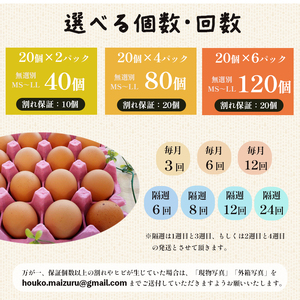 【 ６回定期便 】 卵 240個 ： 40個×6回 無選別 MS～LL 京の贈り物 20個×2パック×6ヶ月 毎月お届け 割れ保証10個 大容量 玉子焼き ゆで卵 生食 卵かけご飯 目玉焼き 新鮮 直