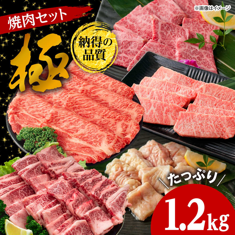【ふるさと納税】焼肉セット 味付き 極 1.2kg / 肉 牛肉 牛 焼肉 焼き肉 やきにく BBQ バーベキュー キャンプ アウトドア セット 詰め合わせ 食べ比べ 国産 冷凍 ミノ ホルモン ロース ハラミ カルビ バラ バラ肉 上カルビ 約 1kg / 大阪府藤井寺市/株式会社 松屋[BLCD002]