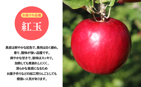 2025年産１０月発送　【訳あり】家庭用紅玉10ｋｇ　【そと川りんご園・１０月・青森県産・平川市・りんご・紅玉・10ｋｇ・訳あり・家庭用】