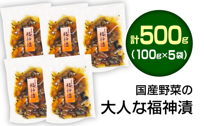 国産野菜の大人な福神漬(無添加・国産) 計500g 100g×5袋 / 福神漬け 漬物 国産 / 恵那市 / マルコ醸造 [AUCT013]