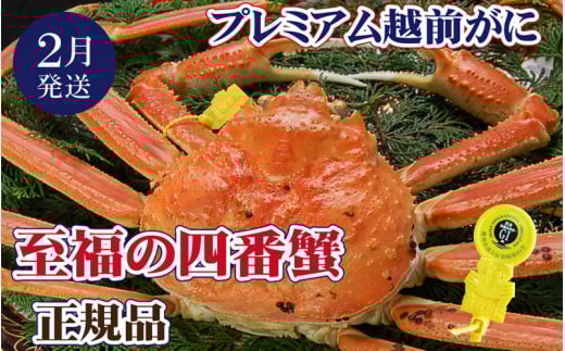 越前がに本場の越前町からお届け！ 越前がに × 1杯（四番蟹）至福のプレミアム越前がに【かに カニ 蟹】【福井県 越前町 雄 ズワイガニ 生 ボイル 冷蔵 越前ガニ 越前かに 越前カニ ずわいがに ずわい蟹 かに カニ 蟹】【2月発送分】【浜茹でお届け】希望日指定可 備考欄に希望日をご記入ください [e37-x003_02b]