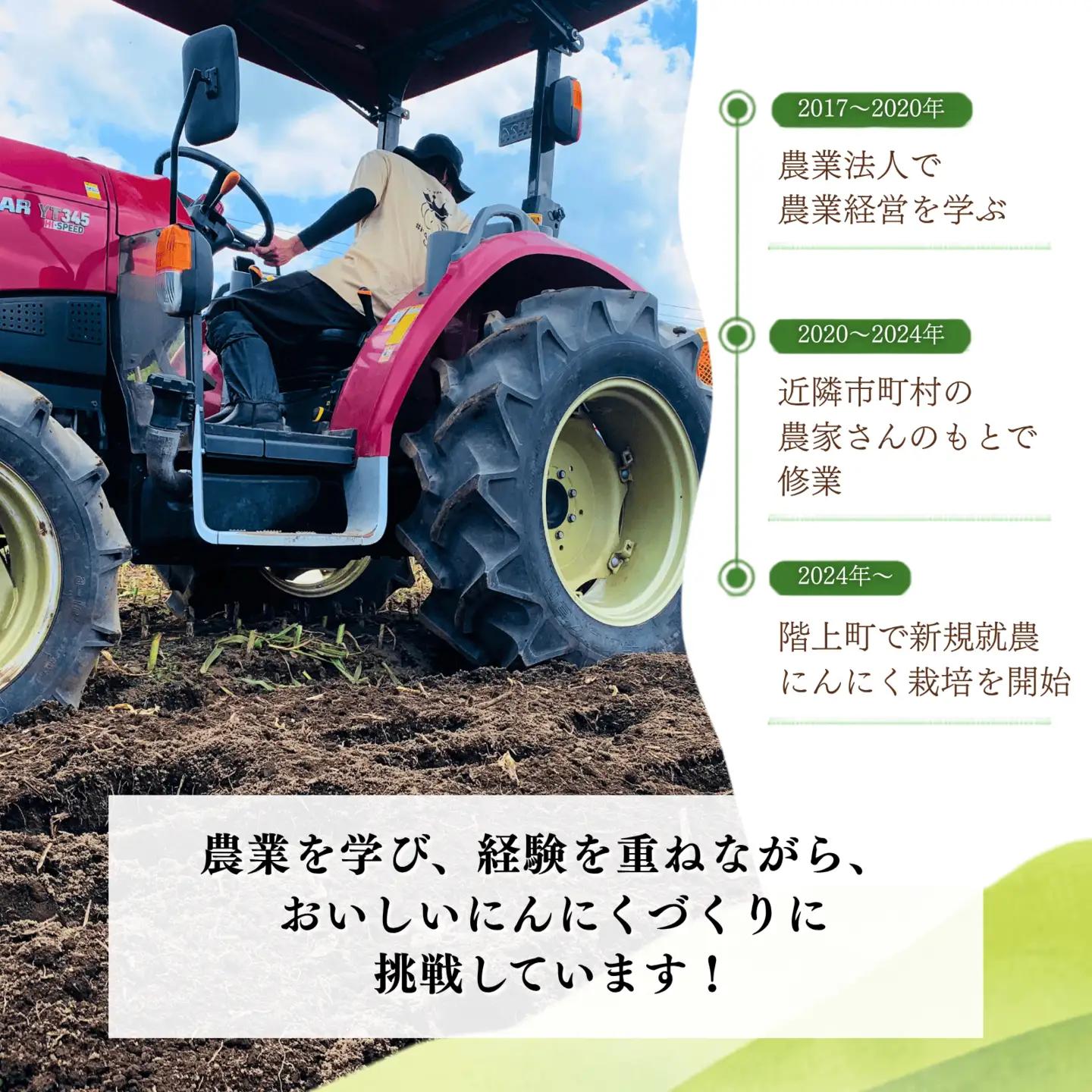 「青森県階上町産」乾燥にんにく　Lサイズ　500g