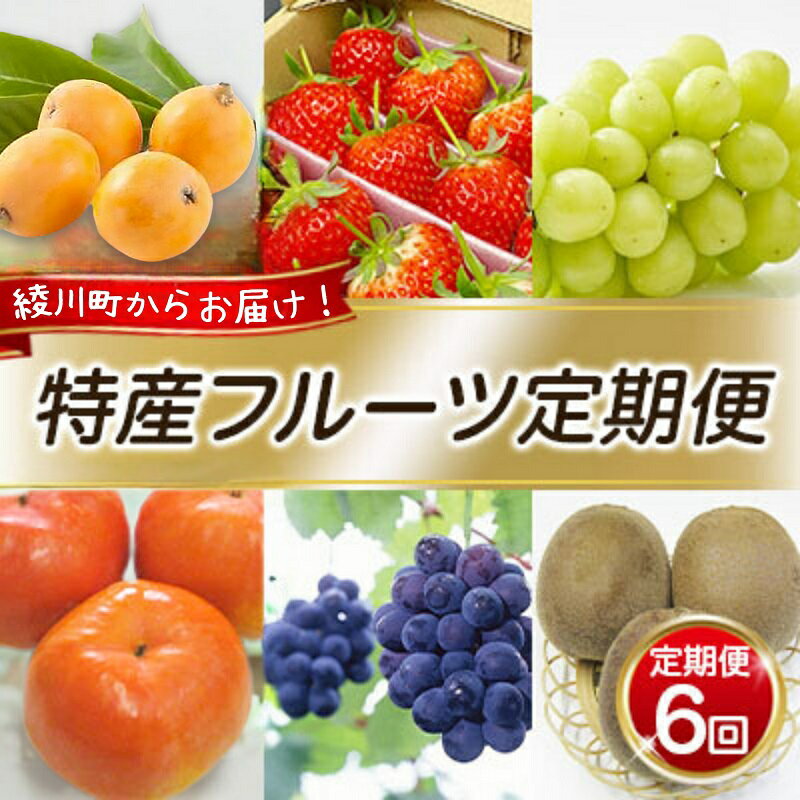 【ふるさと納税】フルーツ 定期便 年 6回 香川県産 国産 つる付きさぬきひめ さぬきひめ いちご 苺 なつたより びわ 枇杷 ピオーネ シャインマスカット ぶどう 早秋柿 柿 さぬきエンジェルスイートキウイ キウイ 果物 くだもの 季節の果物 定期 贈答 ギフト 香川県 綾川町