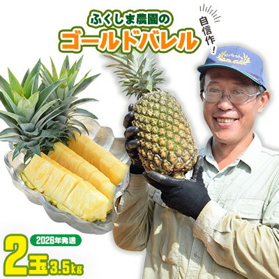 【ふるさと納税】ゴールドバレル【パインアップル】(2玉）約3.5kg　ふくしま農園の自信作！◆2026年発送◆ ゴールドバレル パイナップル 高品質 新鮮 ジューシー 希少 高い糖度 大玉 甘い トロピカル パイン 生産量日本一 高級フルーツ 南国フルーツ 国産フルーツ 完熟 福島
