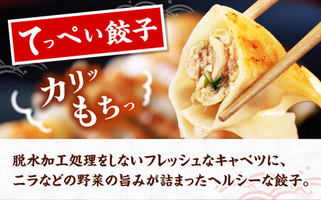 てっぺい餃子75個[AOCX010] 餃子