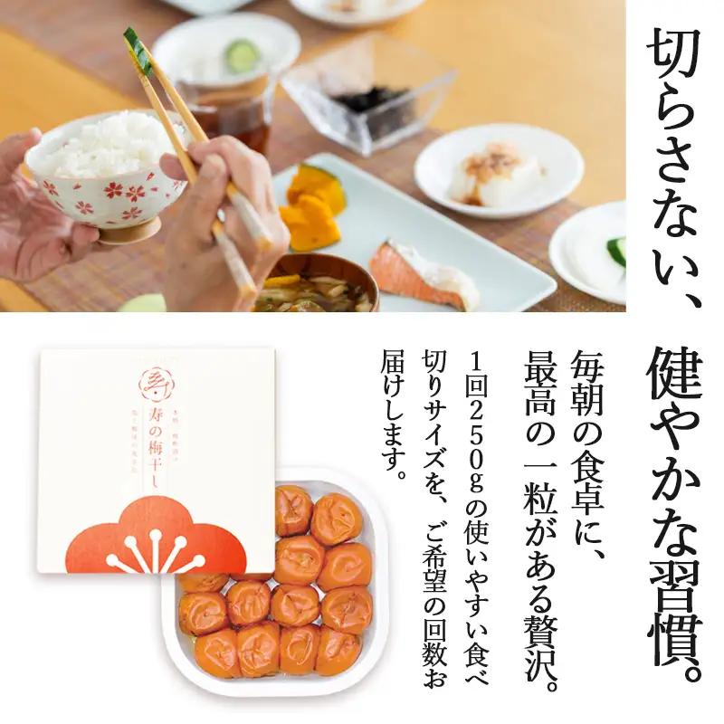 【定期便6ヶ月】 寿の梅干し 250g×6回 うめぼし