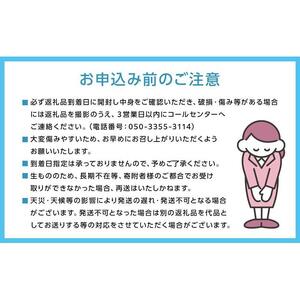 厳選 瀬戸ジャイアンツ 2房 合計1.1kg以上  ｜ ぶどう