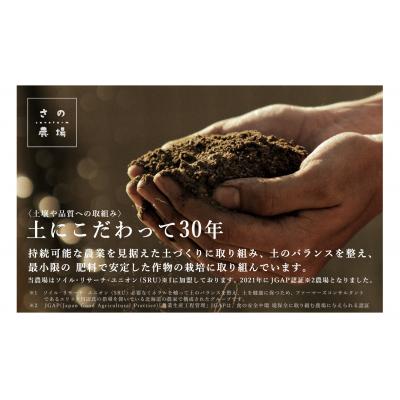 ふるさと納税 津別町 【R7年早期受付】秋の旬 じゃがいも2種食べ比べ 5kg ピンクの八百屋〜ナツやさい〜 |  | 03