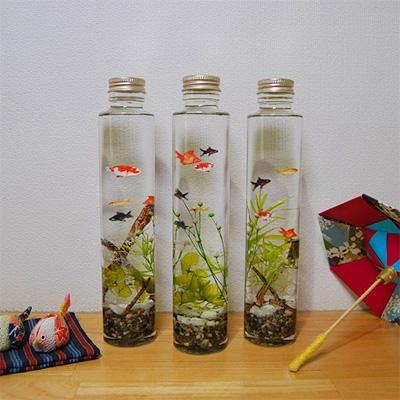 ふるさと納税 富士吉田市 金魚のハーバリウム |  | 02