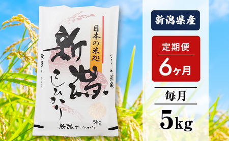6ヶ月定期便 新米  新潟産 コシヒカリ 5kg 白米 精米 １等米 新潟県産 定期便 お米 5kg  こめ コメ ブランド米 6ヶ月 半年 6回