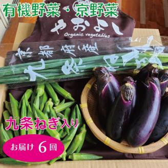 亀岡産 九条ねぎ ＆ 野菜詰め合わせ【定期便】合計6回お届け　有機野菜・京野菜の『京都やおよし』オーガニック 有機JAS 栽培期間農薬不使用 減農薬 ※着日指定不可 ※北海道・沖縄・離島への配送不可