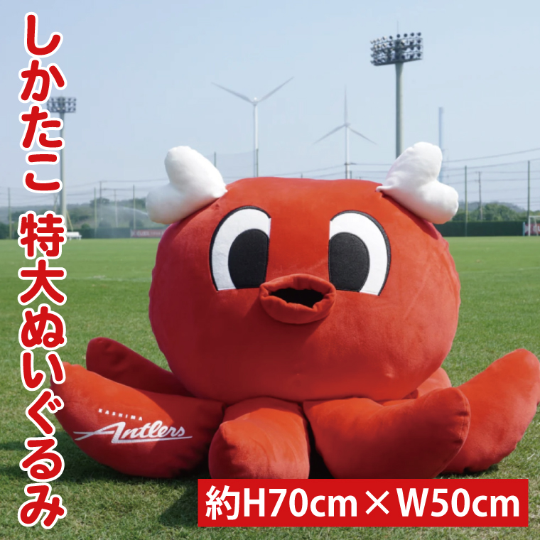 しかたこ特大ぬいぐるみ【鹿島アントラーズ グッズ サッカー エフシー ぬいぐるみ アイテム  茨城県 鹿嶋市】（KH-59）