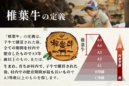 【定期便】6回定期便 宮崎県産 大人気！椎葉牛 ローストビーフブロック 400g（100g×4P）×6回 計2.4kg［送料無料 定期便 椎葉 ローストビーフブロック ローストビーフ ブロック 国産牛