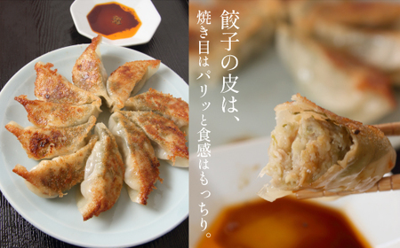 国産 冷凍 にんにく 生餃子 30個入 【生餃子専門店ぽんぽこ】 ぎょうざ 餃子 ギョーザ ギョウザ 惣菜 総菜 おかず 弁当 冷凍餃子 冷凍食品 冷食 自宅用 家庭用 仕送り お取り寄せ ニンニク 