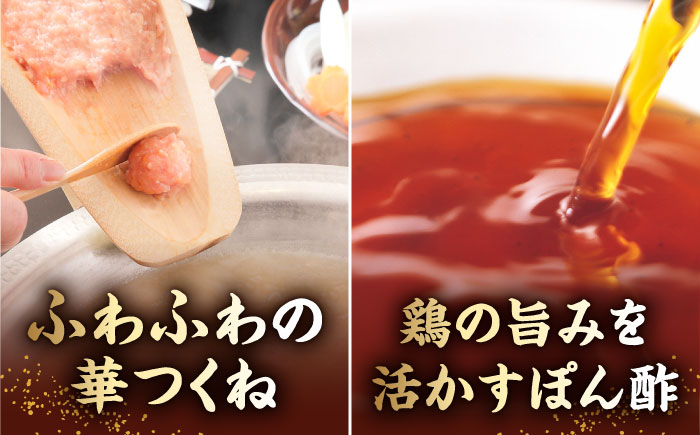 【全3回定期便】博多華味鳥 水炊き セット ちゃんぽん付き  3〜4人前 《築上町》【トリゼンフーズ】博多 福岡 鍋 鶏 水たき みずたき [ABCN012] 33000円  33000円 