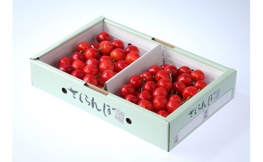 08-05-003　さくらんぼ(佐藤錦)600g