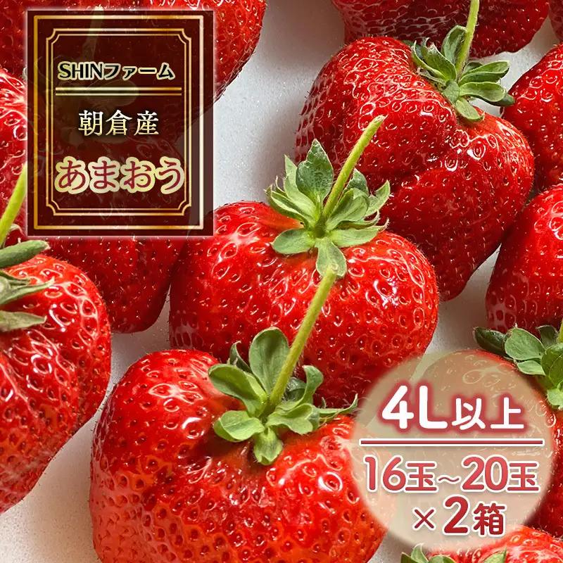 いちご 朝倉市産 あまおう 4L以上 16玉～20玉×2箱 いちご イチゴ