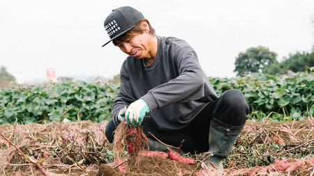 【 訳あり 無選別 】【 熟成 】 八千代町産 土付き 紅はるか 生芋 約10kg さつまいも 焼き芋 大学芋 スイーツ 産地直送 [AX010ya]