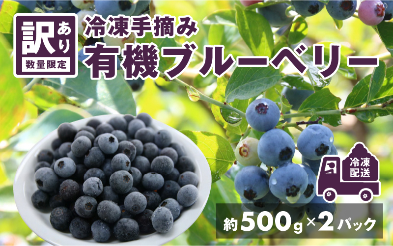 【先行予約】【7月中旬以降順次発送】【訳あり】令和8年産〈冷凍〉手摘み有機ブルーベリー1kg（500g × 2パック） 1kg（500g × 2パック）
