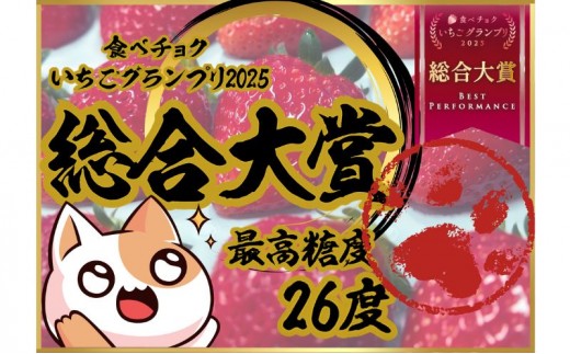 
                  特大粒いちご 9粒入りセット [ いちご イチゴ 苺 大粒 フルーツ 果物 新鮮 糖度 ] 果物類 
                