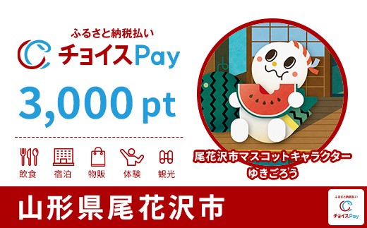 
            尾花沢市チョイスPay 3,000pt【会員限定のお礼の品】
          