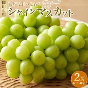 シャインマスカット 2房（1房約700g） ｜  シャインマスカット
