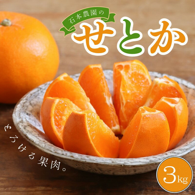 【ふるさと納税】 《レビューキャンペーン実施中！》 せとか 石本農園の ハウスせとか 約3kg (2L or 3L 9玉〜12玉)【2026年2月中旬から下旬に順次発送】 みかん ミカン 蜜柑 柑橘 果物 くだもの フルーツ 予約 人気 ジューシー 甘い 産地直送 送料無料