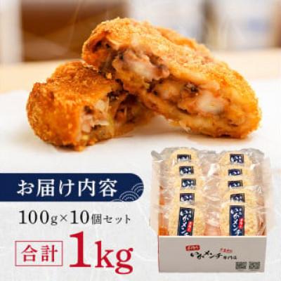 ふるさと納税 南房総市 今話題沸騰中の房総手作り『いかメンチ』100g×10個【冷凍】　mi0047-0005 |  | 03