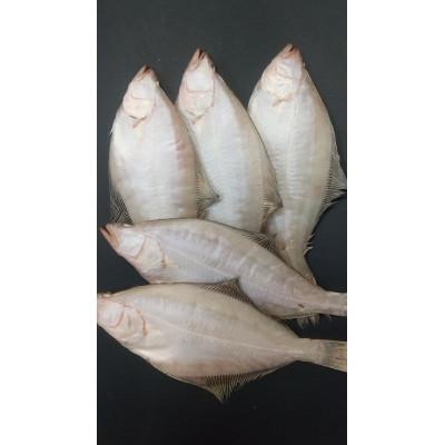 ふるさと納税 宮津市 【エテカレイ一夜干し 5枚セット [ 小分けの個包装パック ]】