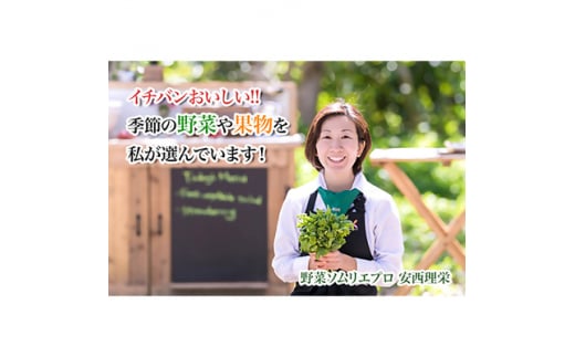 ＜毎月定期便＞＜下旬発送＞こだわりの旬野菜BOX「リエビン」季節の野菜セット全6回【4012344】