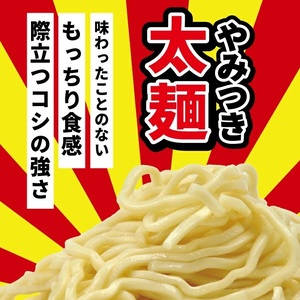 SZ0319　太麺 焼きそばと焼きそば粉末ソース　8食セット