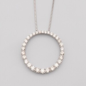 PT900/PT850　1ctダイヤモンド　サークルペンダントネックレス FHH-019923