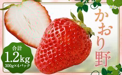 いちご 「かおり野」プレミアム 300g×4パック 約1.2kg 1箱【2025年12月下旬から2026年3月下旬まで発送予定】 苺 イチゴ ベリー 果物 フルーツ デザート おやつ お取り寄せ