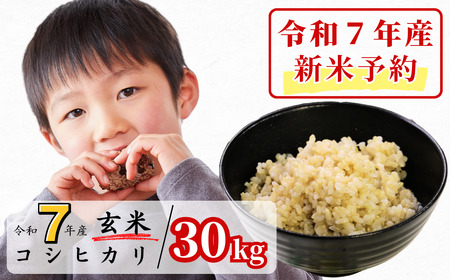 《令和7年産新米予約・10月ごろよりお届け開始》玄米 30kg 令和7年産 コシヒカリ 岡山 あわくら源流米 K-ad-AEEA